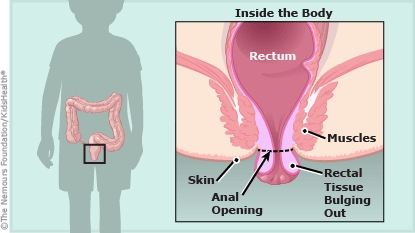 KidsHealth Image