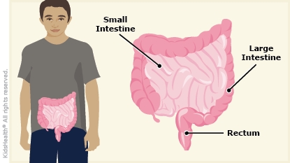 KidsHealth Image